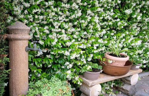 Miniappartamento Il Gelsomino - Foto 10