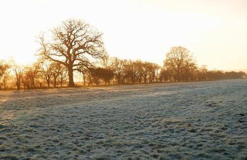 Kirby Cottage - Foto 14