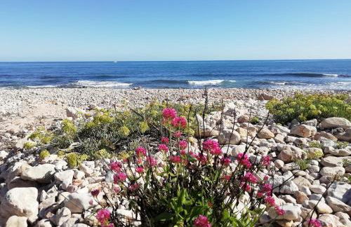 Denia playa montañas y mucho más - Foto 21