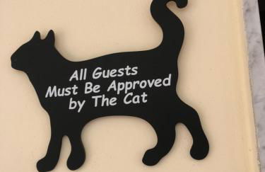 La Casa di Pedro - Foto 53