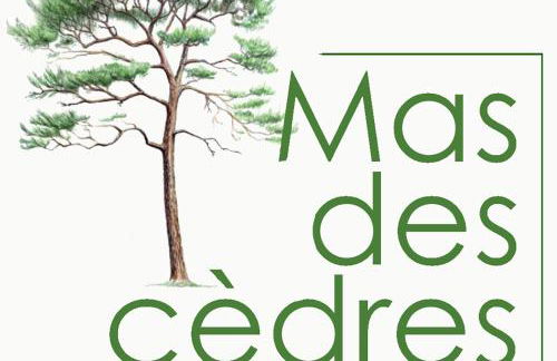 Mas des Cèdres - Photo 39