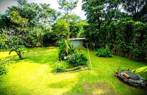 Chácara Atibaia com Casa na Árvore - Foto 50