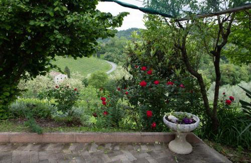 La collina dei nonni - Tarzo - Foto 37