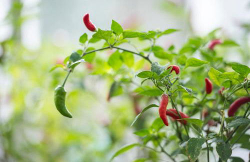 Park House Hotel - Foto 64