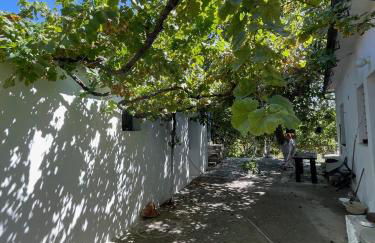 Accetto, Stone House With Pool - Foto 49