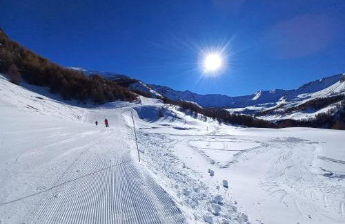 Les écureuils du Méale - Photo 18