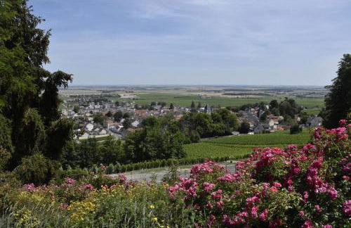 Gîte VILLA PAUL - Foto 33