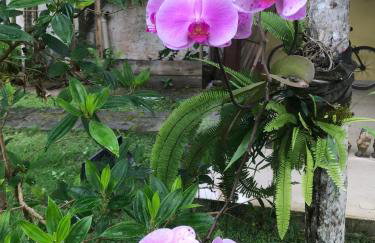 Casa paRABEns! - Foto 22