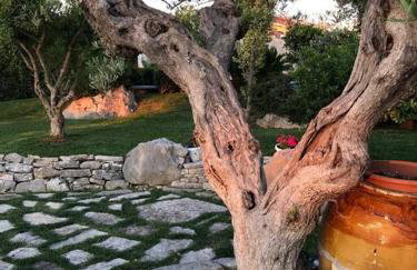 Villa Poggio Fiorito - Foto 18