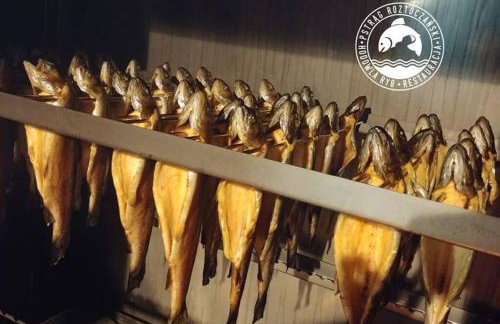 Domek wczasowy Zielony Dół na Roztoczu - Foto 24