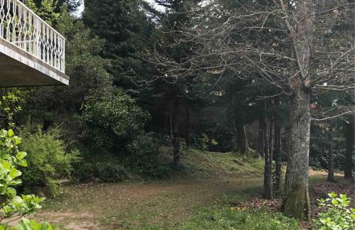 Mountain route - Foto 26