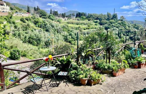 Casa Ariel - Elba Affitti - Foto 23