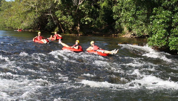 Tubing dans la forêt tropicale de Cairns