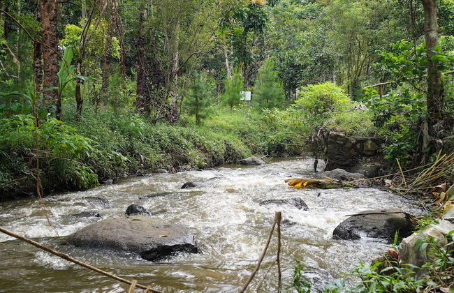 OYO Homes 91006 Eco Tourism Desa Cibodas Areng 5 Syariah - Photo 38