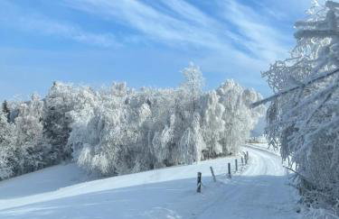 Osobie - dom z widokiem na góry - Foto 6