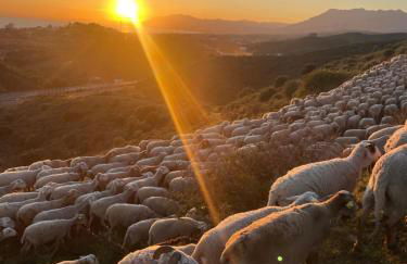 Buena Vista Apartment, 3 bedrooms - Foto 46