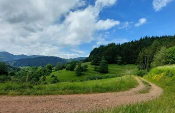 Ferienhaus am Rosengärtle - Black Forest - Forêt Noire - Foto 36