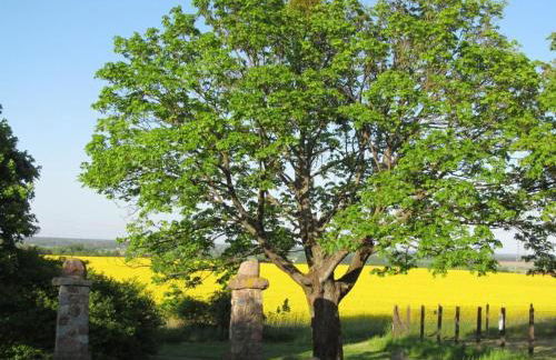 Holiday Home - Uns lütt Hüsung by Interhome - Foto 11