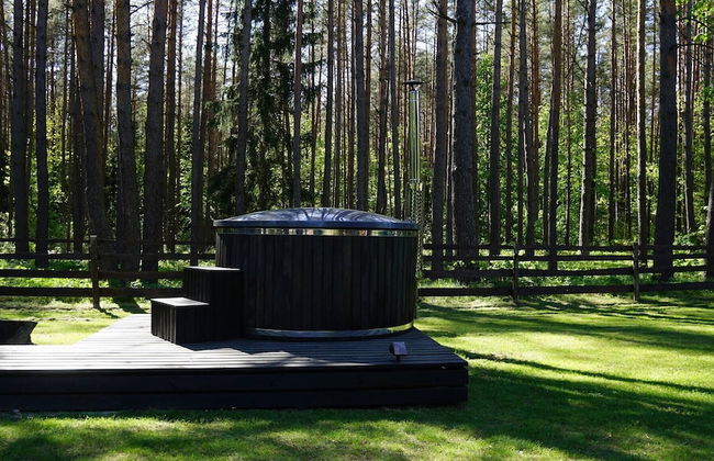 Metai Miške&a Year in the Forest - Photo 25