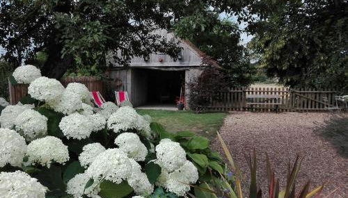 La Maison des Tilleuls - Photo 4, Garden, Garden view