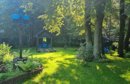 Niezapominajka - Foto 46