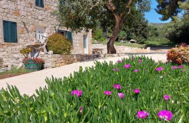 House Antica - Foto 38