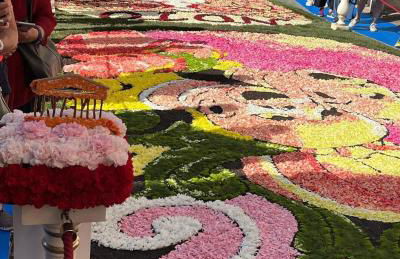 Villa Il Sole - Foto 67