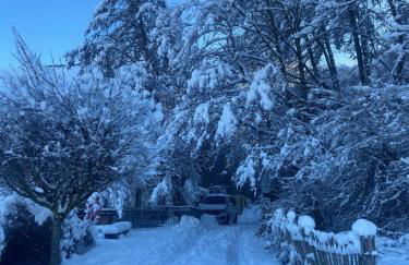 Vogtmühle - Foto 47