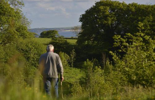 Dandelion Cottage, Amroth - Foto 42