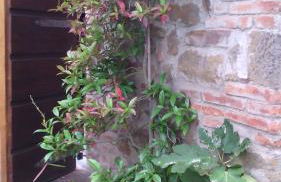 Holiday home Belvedere - Foto 14