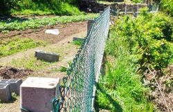 Quinta da Eira - Foto 16