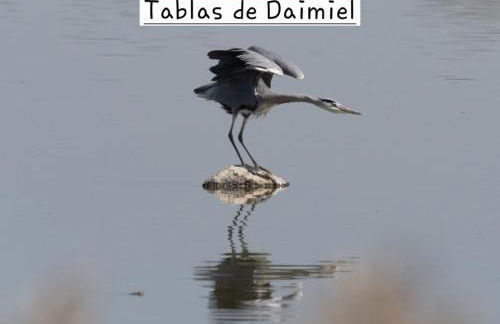 Casa Rural Valle de los Molinos - Foto 16