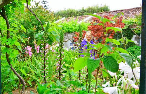 Quinta Nossa Senhora de Lourdes - Photo 19