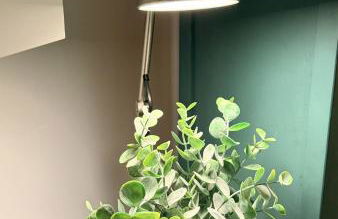 Cozy Cottage Coventry self check-in after 3pm, Pets Friendly - Foto 20