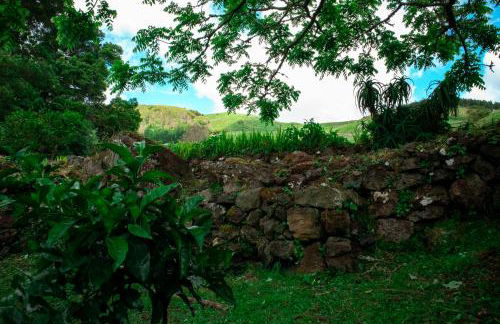 Casa de Campo Franco da Serra - Photo 44