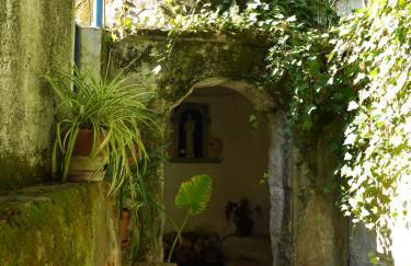 Casa dos Arrábidos - Foto 140