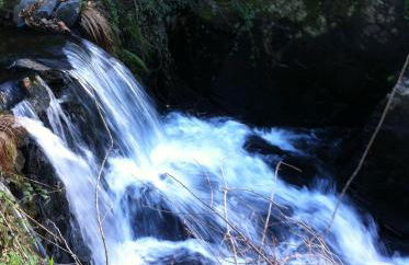 Casa do Ouriço - Foto 52