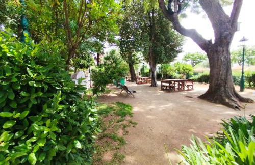 Casa Victor - Foto 17