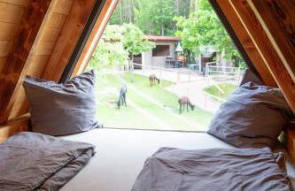 Pirker Anden Chalet - Foto 10