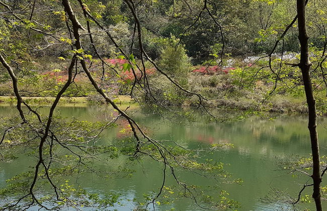 Sherwood's Country House - Foto 54