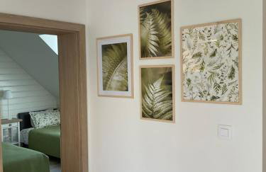 Apartamenty u Kasi - Foto 11