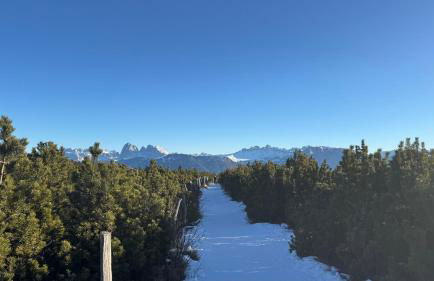 Haus Gläserer apartments - Foto 24