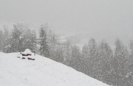 Kellnerhof - Foto 17