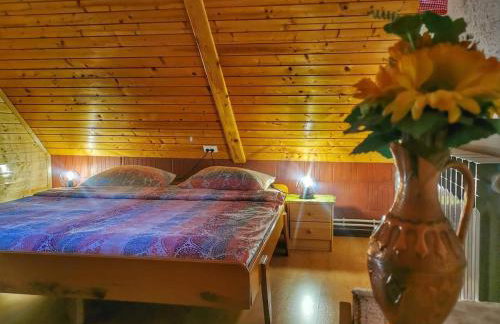 Holiday House - Hidden in Velebit - Foto 19