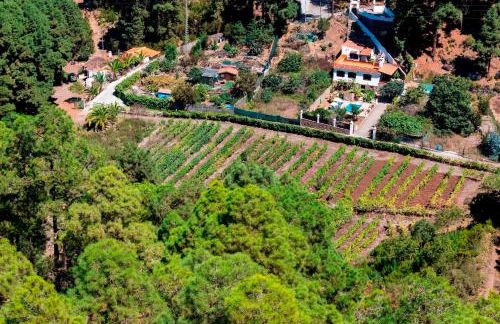 Home2Book Icod Rural Escape Pool BBQ - Foto 46