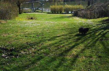 Tinyhouse am See im Donau-Ries - Foto 12