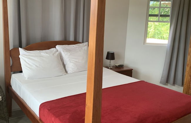 La Heliconia - Foto 14