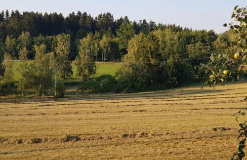 Ferienhof Löw - Photo 16