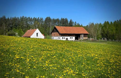 Żurawi klangor - dom z sauną i jacuzzi - Foto 28