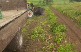 Urlaub auf dem Bauernhof - Foto 28